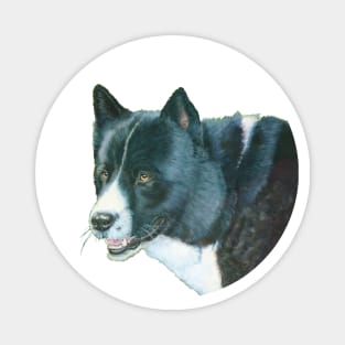 Karelian beardog Magnet